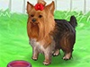 Game 131